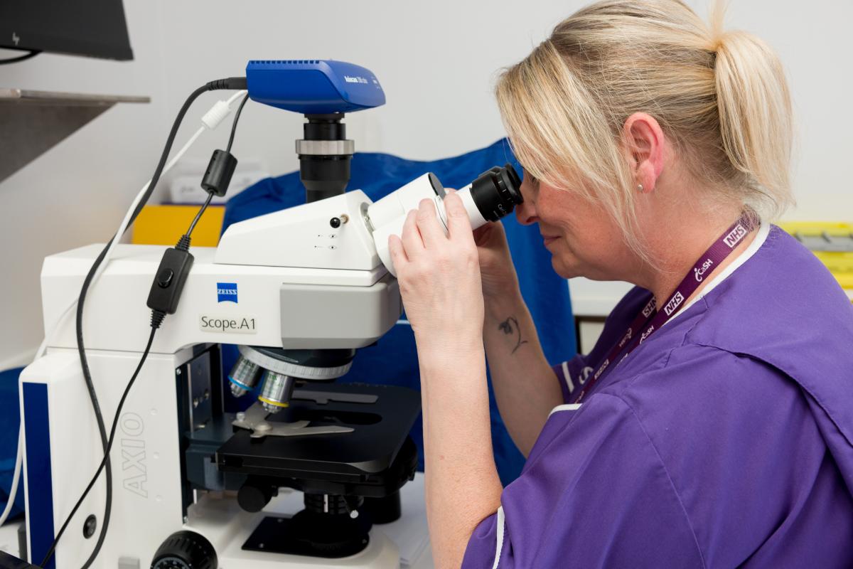 Picture of microscopy testing