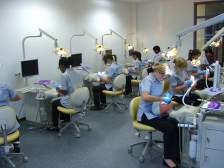 Dental Hygienist Training